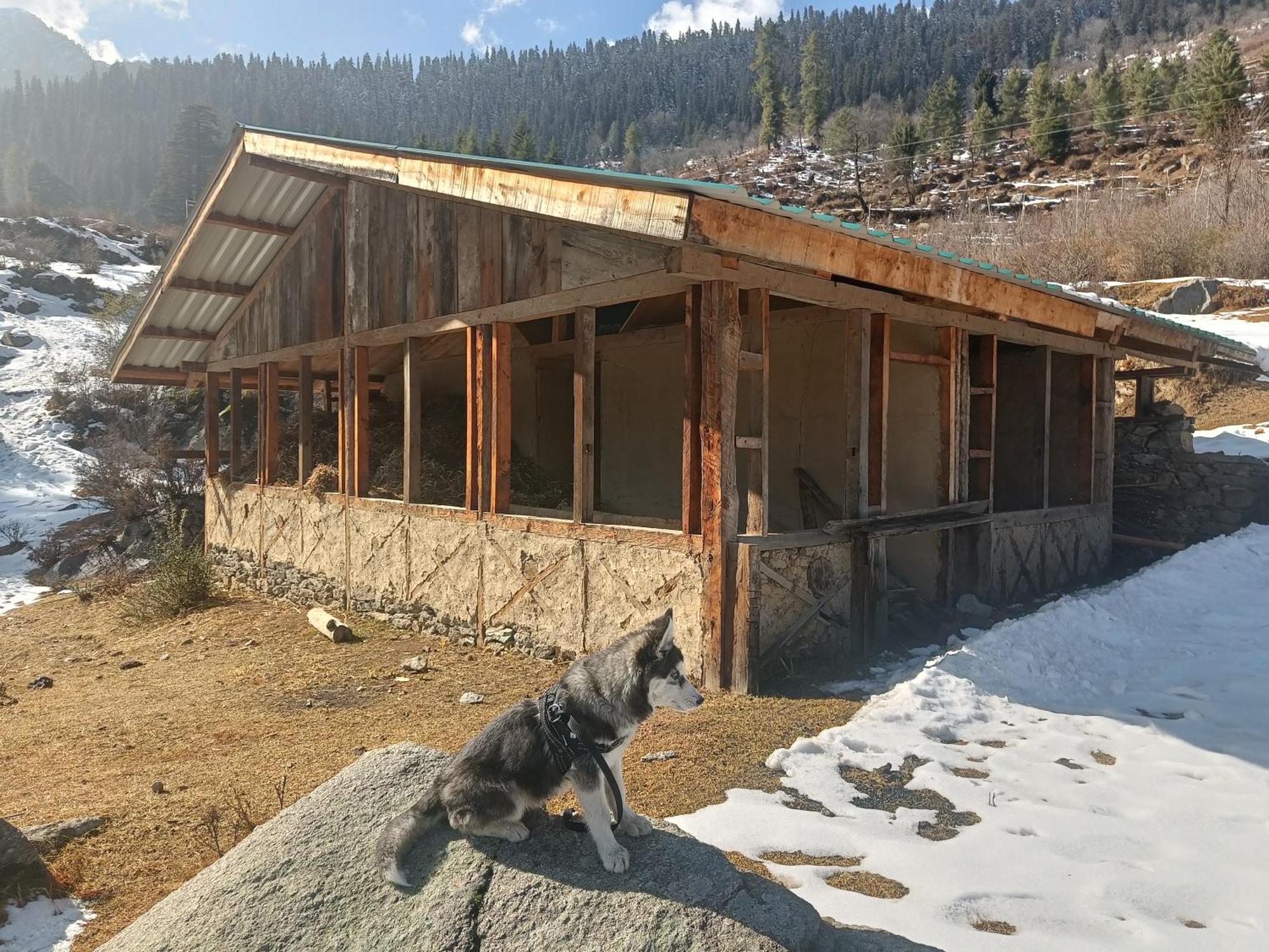 Trimounts-A Boutique Hotel & Wellnes Center In Tirthan Valley Banjar Экстерьер фото