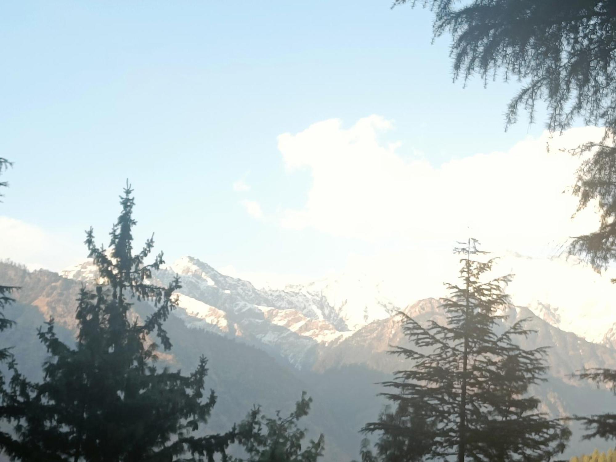 Trimounts-A Boutique Hotel & Wellnes Center In Tirthan Valley Banjar Экстерьер фото