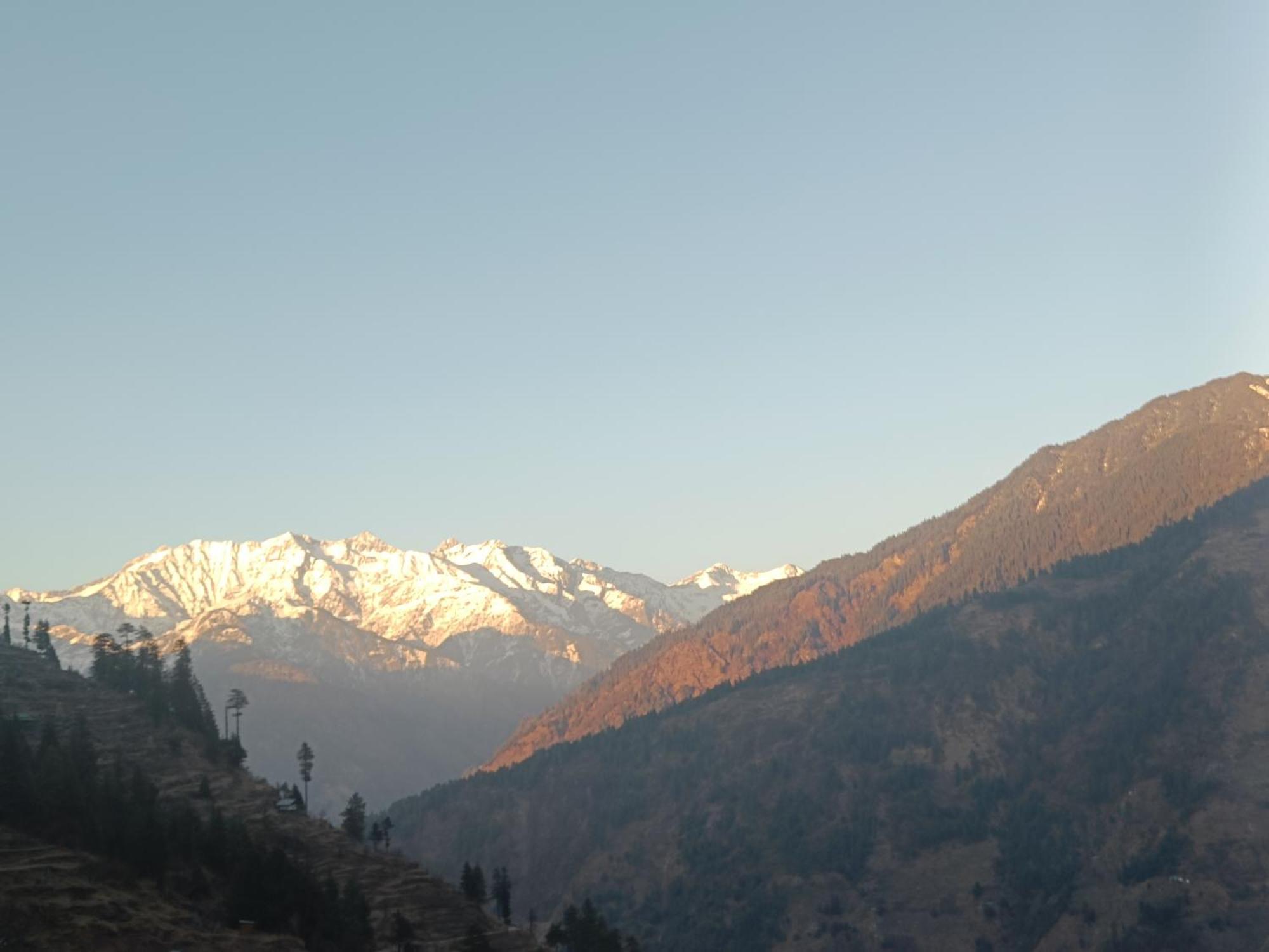 Trimounts-A Boutique Hotel & Wellnes Center In Tirthan Valley Banjar Экстерьер фото