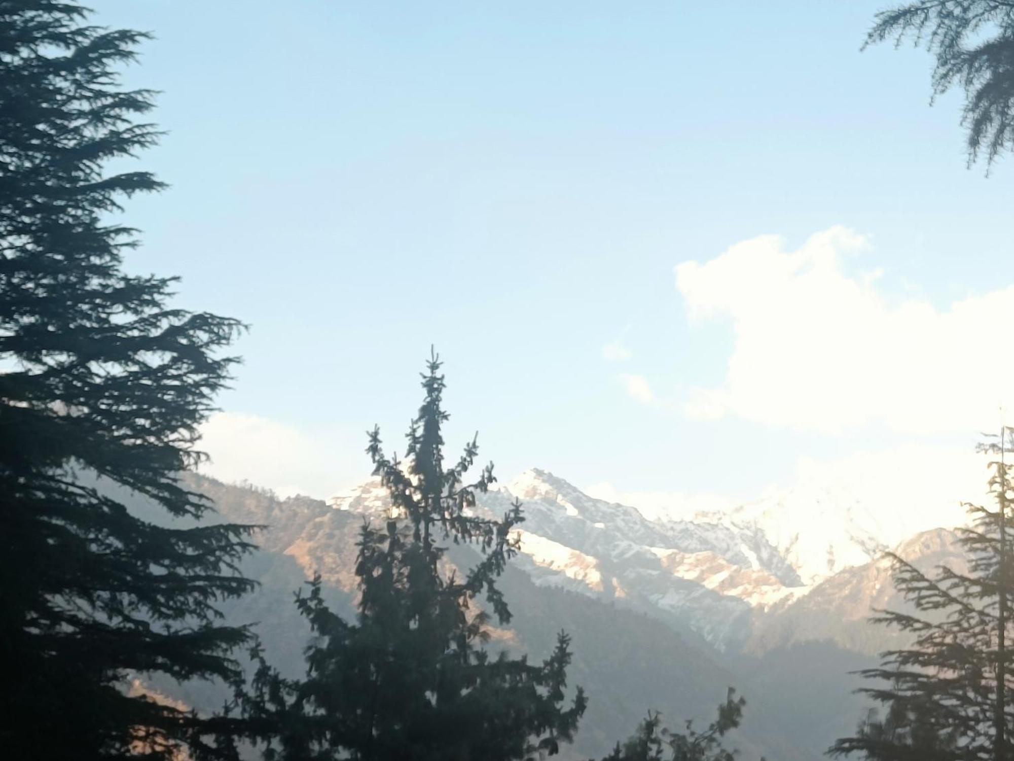 Trimounts-A Boutique Hotel & Wellnes Center In Tirthan Valley Banjar Экстерьер фото
